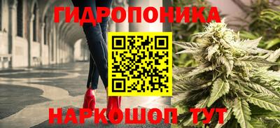 стаф Ливны