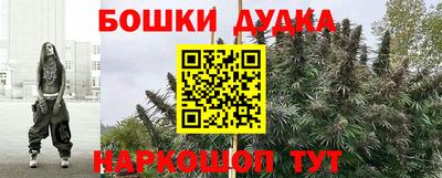 стаф Ливны