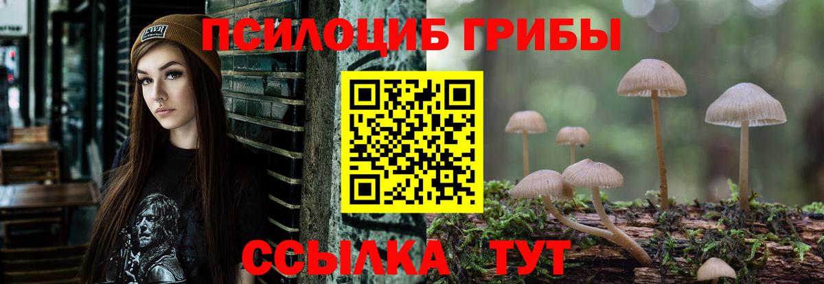 Псилоцибиновые грибы Psilocybine cubensis  Вход с VPN  Калач-на-Дону  Галлюциногенные грибы ЛСД 